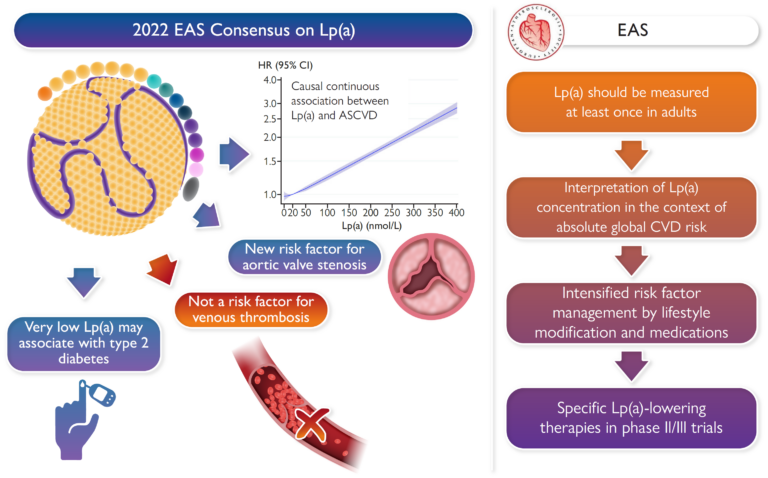 Fig. 3: Key points from the 2022 Lp(a) consensus statement of the European Atherosclerosis Society. Figure reproduced under the CC BY-NC-ND 4.0 open access license from Kronenberg et al. Eur. Heart J. 2022); Copyright: reproduced under the CC BY-NC-ND 4.0 open access license (publication Kronenberg et al. Eur. Heart J. 2022)
