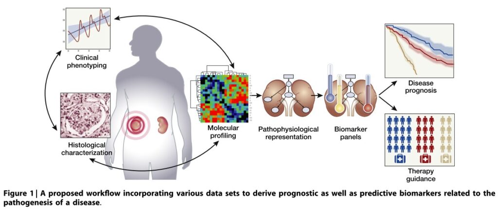 Fig. 1: Systems biology data integration allows pathophysiological disease modelling to delineate biomarkers for disease prognosis and therapy guidance (Perco P; Kidney Int 2017)