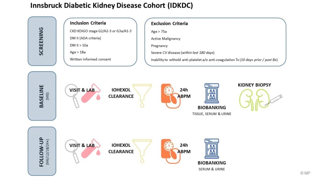 Fig. 2: Graphical abstract of the Innsbruck Diabetic Kidney Disease Cohort (IDKDC)