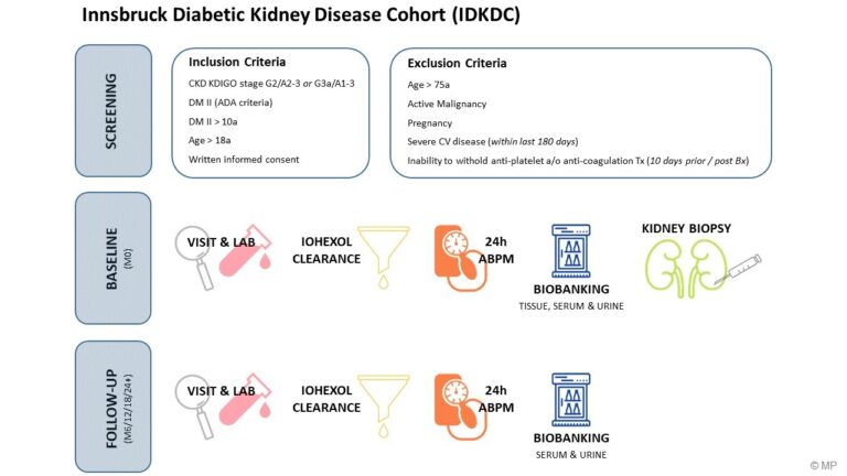 Fig. 2: Graphical abstract of the Innsbruck Diabetic Kidney Disease Cohort (IDKDC)