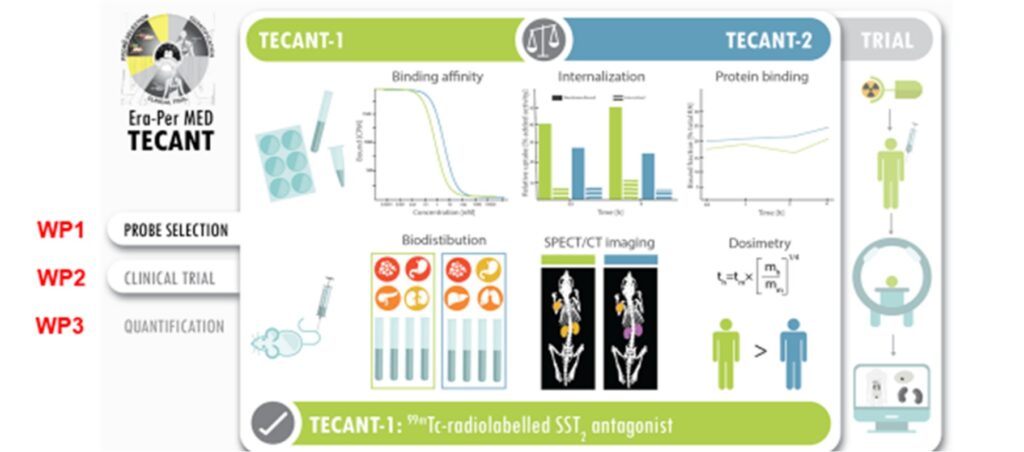 Fig. 6: The Era-PERMED TECANT project scheme, with a focus on WP1, probe selection as with substantial contribution from the MUI Department of Nuclear Medicine, reproduced from [11]