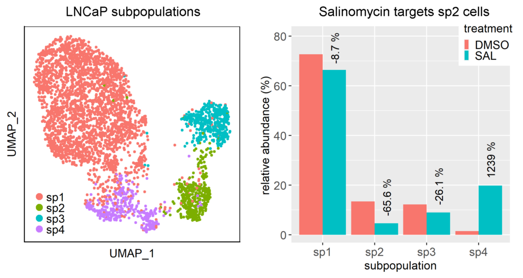 Fig. 3: Identification of cell subpopulations in the prostate cancer cell line LNCaP and the effect of the stem cell inhibitor salinomycin on relative subpopulation abundances.
