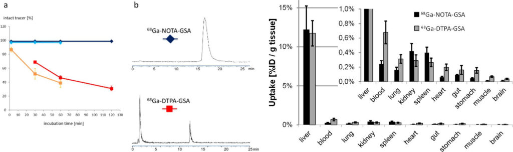 Fig. 5: Left side (a and b): Metabolic stability is clearly increased for the 68Ga-NOTA-GSA (blue lines) compared with the 68Ga-DTPA-GSA (red line) and the 99mTc-DTPA-GSA (orange line). Right side: The newly developed 68Ga-NOTA-GSA shows high activity accumulation in the target organ (liver) and only marginal activity concentration in other organs. 
